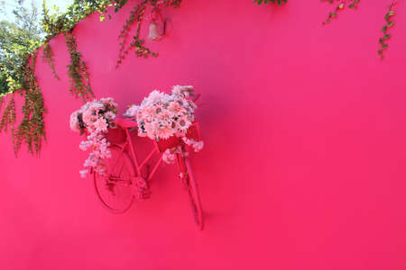 Pink street with green plants, windows, street lams, decorative caribbean entourage in old city...