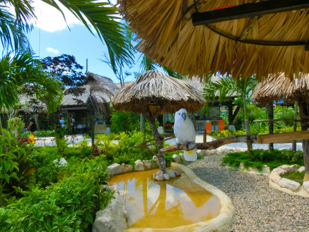 Puerto Plata, DR - January 10, 2022: Shops at the cruise ship port Taino Bay in Puerto Plata, Dominican Republic.のeditorial素材