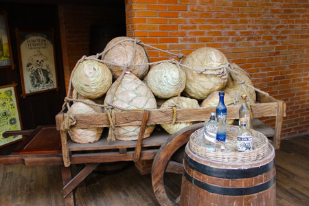 Costa Maya, Mexico- April 24, 2022 : Bar at Costa Maya cruise ship terminal and resort is a perfect...