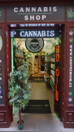 Prague, Czech Republic - May 11, 2022: cannabis bush at the entrance to the store.のeditorial素材