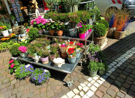 Frankfurt am Main, Germany - May 10, 2022: entrance into a small flower shopのeditorial素材