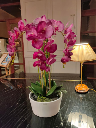 Poiana Brasov, Romania - September 25, 2022: Alpin Resort Hotel interior at Romania.のeditorial素材