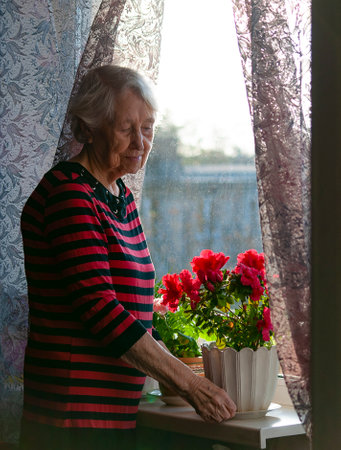 Sad old woman near the window. Happy senior woman sitting near window with flowers. Retired and contemplative lady at homeの写真素材