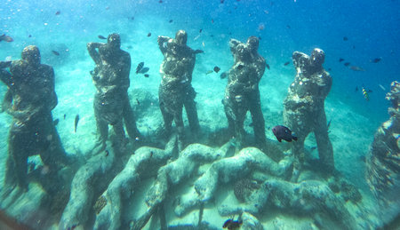 The underwater sculpture group the Nest near Gili Meno Island, a popular tourist spot for underwater in Gili Meno Indonesiaの写真素材