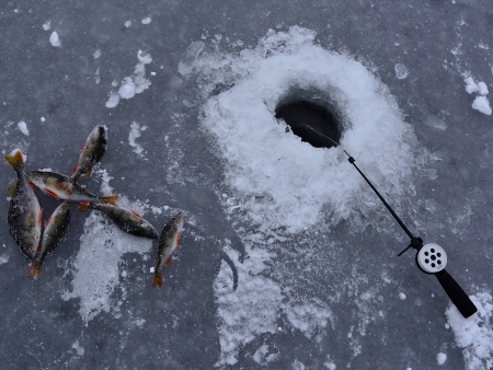 Catch at winter fishingの写真素材