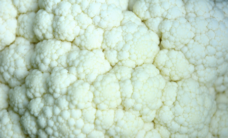 The background of white cauliflowerの写真素材