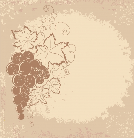 Grapes branch on vintage background のイラスト素材