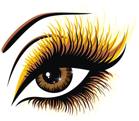 Beautiful female brown eye のイラスト素材