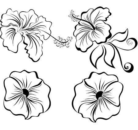 Stylized black and white flowers isolated on white backgroundのイラスト素材