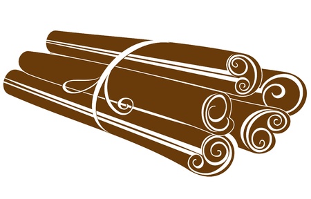 Cinnamon sticks on white のイラスト素材