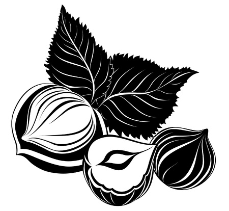 Hazelnuts with leaves のイラスト素材