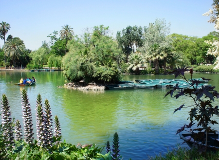 Lake in topical gardenの写真素材