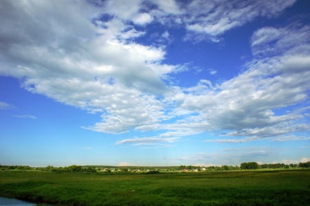 Summer meadow  Green Grass and Blue Skyの写真素材
