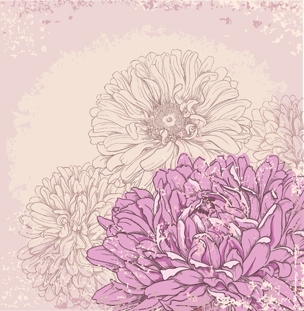 Hand drawn floral background with pink aster flowers のイラスト素材