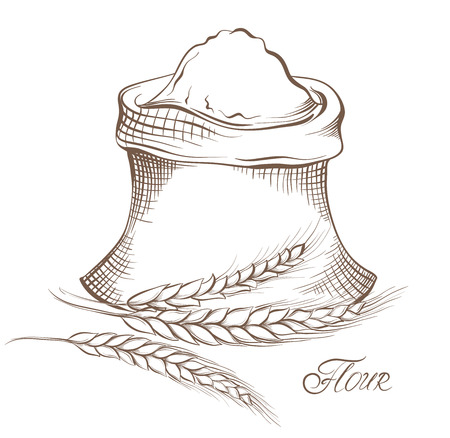 Vector hand drawn flour and wheat grain.のイラスト素材