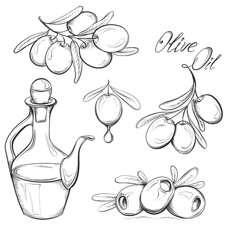 Hand drawn olive set. Olive oil and olive branch. Black and white vector illustrationのイラスト素材
