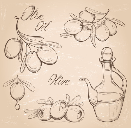 Hand drawn olive set on vintage grunge background. Olive oil and olive branch. Vector illustrationのイラスト素材