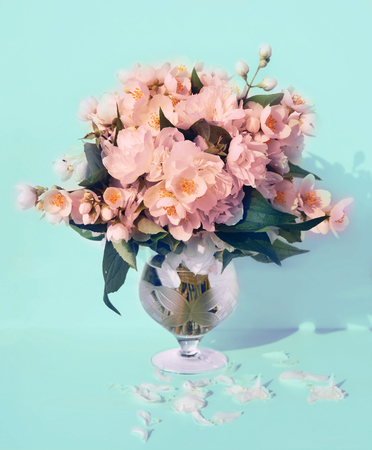 Beautiful fragrant bouquet of jasmine flowers in glass vase on white backgroundの写真素材