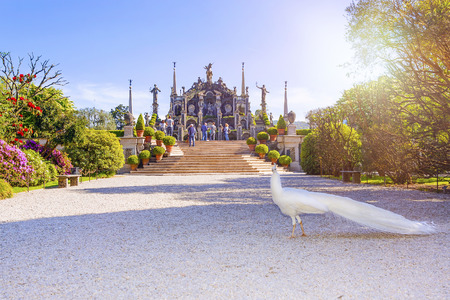 Beautiful Isola Bella island with flower garden, white peacocks and baroque statues, Lake Maggiore, Stresa, Italy.の写真素材