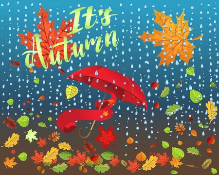 Autumn leaves background, can be use as banner or poster. Vector illustration. Design elements.のイラスト素材