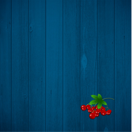 Winter poster or card. Red berry on the blue wood background .Vector illustration.のイラスト素材