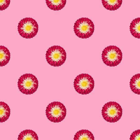 Seamless pattern with red Aster flowers on pink background. Floral pattern. Tropical abstract...