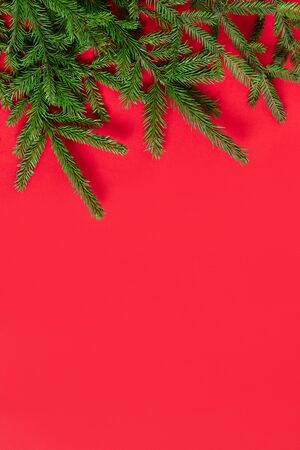 Christmas border with fir branches on a red background. Happy new year. Space for text. Winter concept. Greeting card. Copy space, template. Top view, flat lay.の写真素材