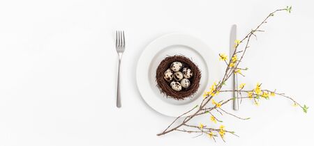 Easter table setting with quail eggs in a nest and a branch of yellow forsythia flower on a white...