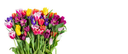 Flower composition. Beautiful colorful spring flowers isolated on a white background. Mothers Day, Womens Day concept. View from above. Space for text.の写真素材