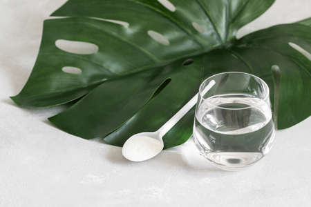 Collagen powder in a spoon and water on a gray background with a monstera leaf. Protein intake....