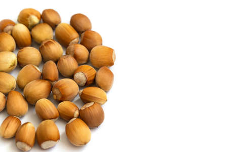 Hazelnut heap isolated on a white background. Organic ripe nuts closeup. Copy space.の写真素材