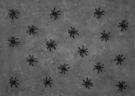 Halloween background with spiders. Black decorative spiders on a dark gray background. Top view, flat lay.の写真素材
