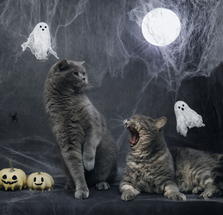 Halloween cats on a dark background with cobwebs and glowing moon. Two cats fighting on Halloween...