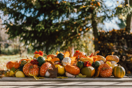 Decorative pumpkins on a wooden tabletop with an empty space. Beautiful autumn composition with pumpkins, berries and leaves on a blurred nature background.の写真素材