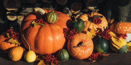 Autumn composition with pumpkins, berries and leaves closeup. Beautiful autumn pumpkin background.