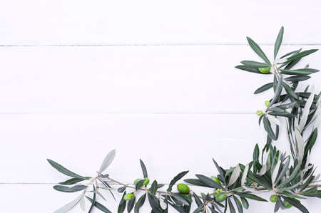 Fresh olive branch with berries on a white wooden background. Traditional plant of Italy. Free space for text. Flat layの写真素材