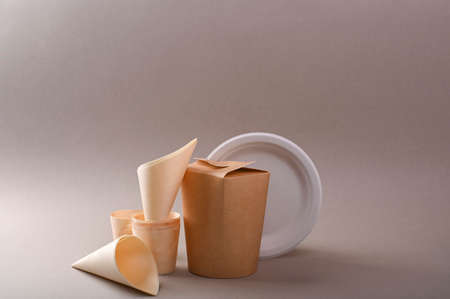 Paper dishes, craft design for fast food, catering, takeaway. The concept of eco-friendly and...