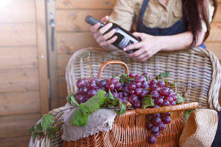 A girl with a basket and a bottle of wine. collects selected grapes in Italy for a large autumn harvest. biological concept, organic food and fine handmade wines.の写真素材