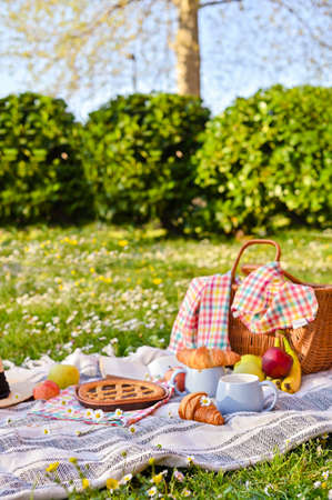 Picnic basket with fruit and bakery on a plaid and a green meadow with flowers. Lunch in the park on the green grass. Summer picnic background concept. Copy space.の写真素材
