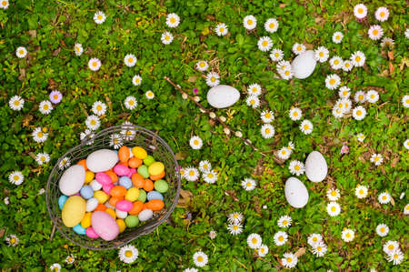 Easter eggs in the grass. Basket with different colored eggs in a clearing with flowers. The concept of family holidays, childrens entertainment. Top view. Free time for textの写真素材