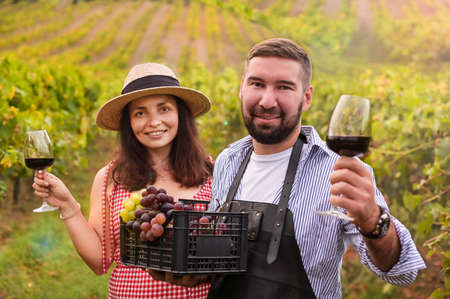 A woman and a man with a glass of red wine in the hills of Italy. Vineyards of Emilia Romagna and sun glare. Couple with grapes and wine in the harvest season. Selective focus. Copy spaceの写真素材