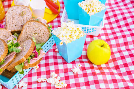 Lunch in the park on the green grass. Summer sunny day and picnic basket. Popcorn and sandwiches for a snack outdoors in nature. in bright plastic dishes on a checkered tablecloth . Copy spaceの写真素材