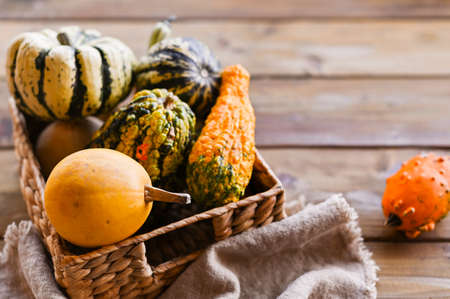 Different Thanksgiving Mini Pumpkins on a rustic wooden table. Thanksgiving concept. Autumn, Harvest wicker basket. Napkin is old. Focus is selectiveの写真素材