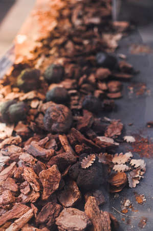 expensive rare black truffle mushroom - gourmet vegetable. Luxury food. A classic of Italian cuisine
