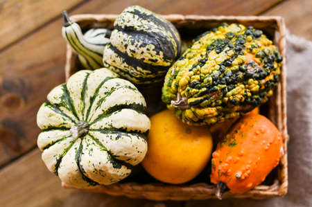 Different Thanksgiving Mini Pumpkins on a rustic wooden table. Thanksgiving concept. Autumn, Harvest wicker basketの写真素材