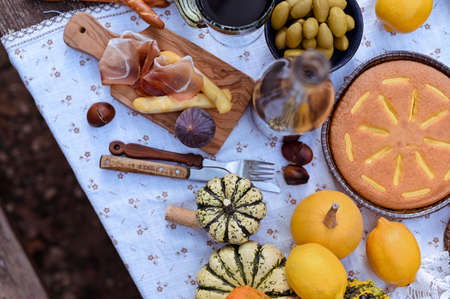 Autumn picnic in the park. Pumpkins, pie, prosciutto and snacks. Bottle of wine and glasses on a...