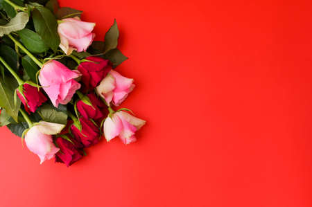 Romantic still life, red roses on a red background. Postcard Concept for Womens Day and Valentines Day. Copy space.の写真素材