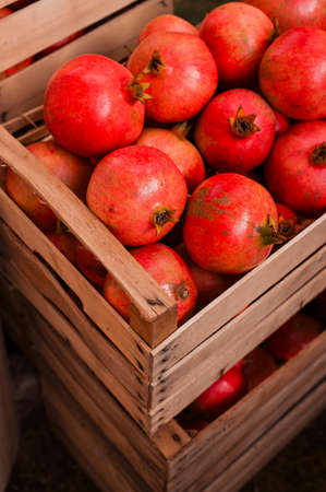 Ripe pomegranates in a basket at the market. Seasonal fruits.の写真素材