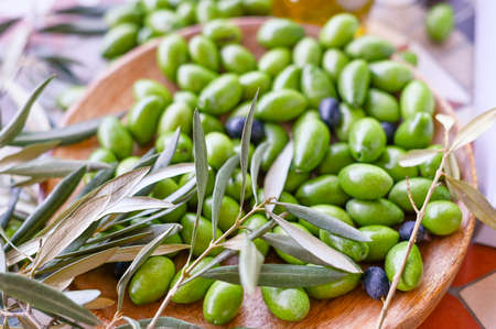Fresh green olives with branches and leaves. Seasonal harvest in Italy. Top viewの写真素材