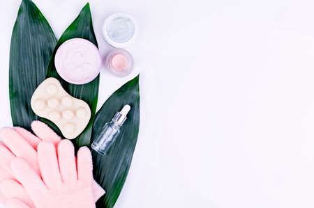 Beauty background with facial cosmetic products, large green leaves on the background. Modern spring...
